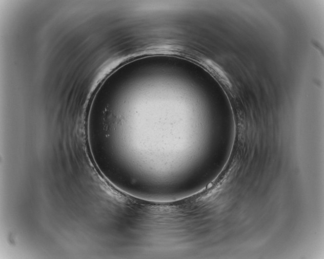 X0000096941192200802081158
