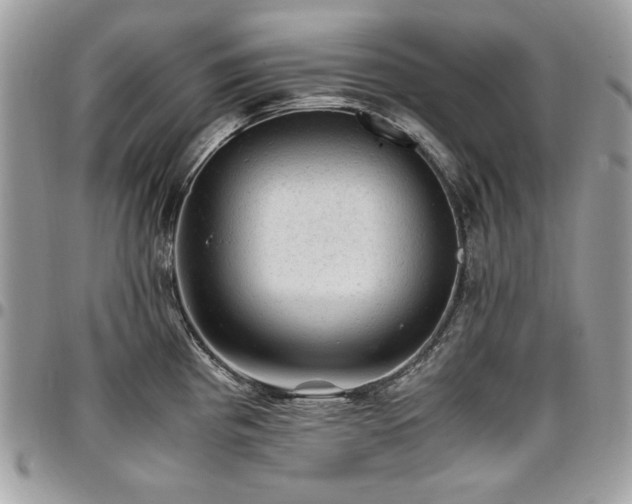 X0000096941193200802081158