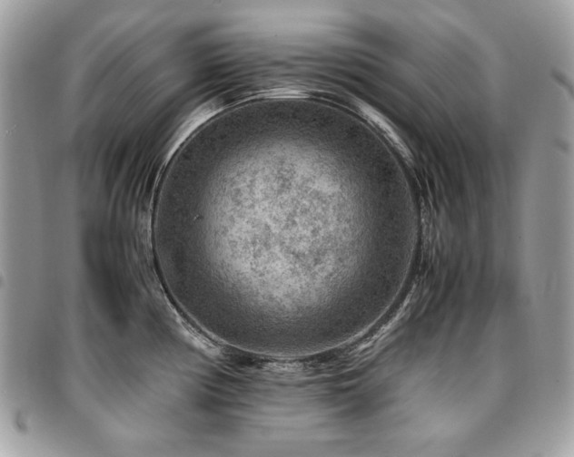 X0000096941194200802081158