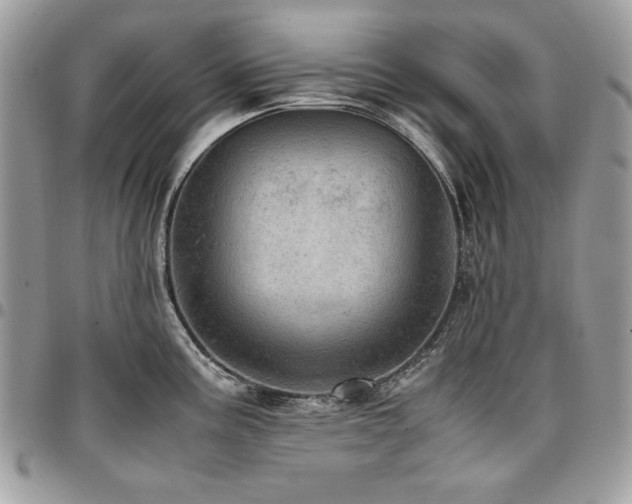 X0000096941195200802081158