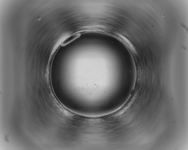 X0000096941196200802081158