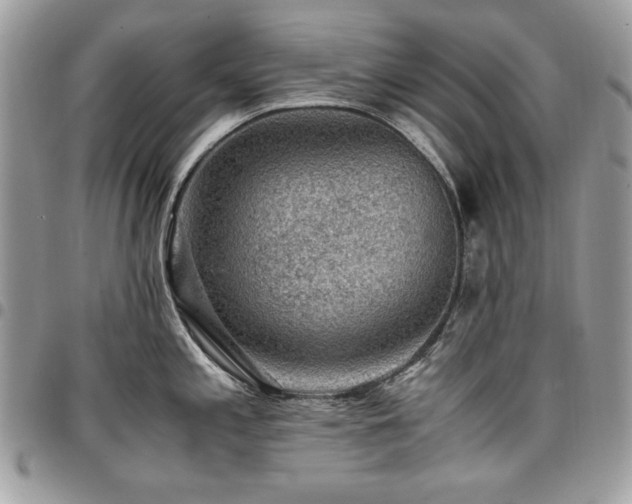 X0000096941197200802081158