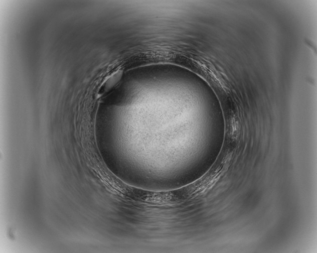 X0000096941201200802081158