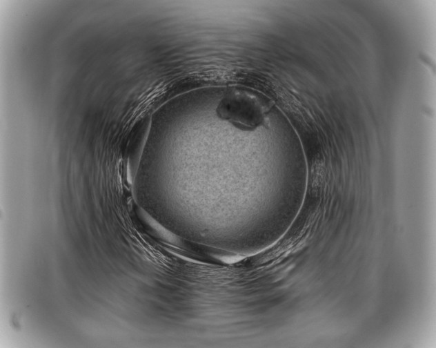 X0000096941202200802081158