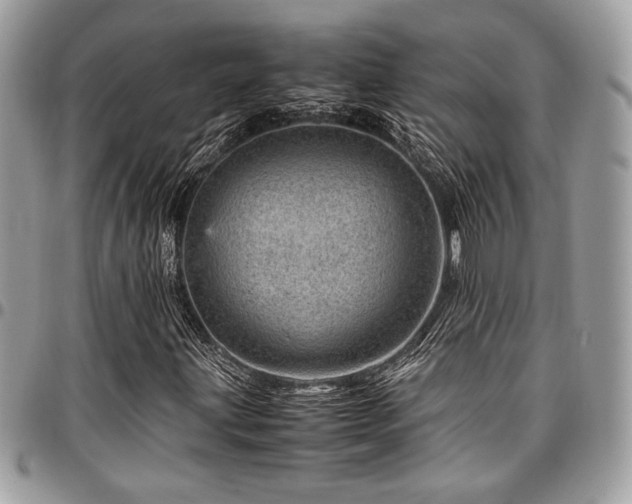 X0000096941203200802081158
