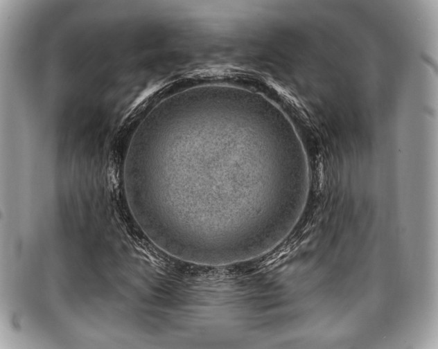 X0000096941206200802081158