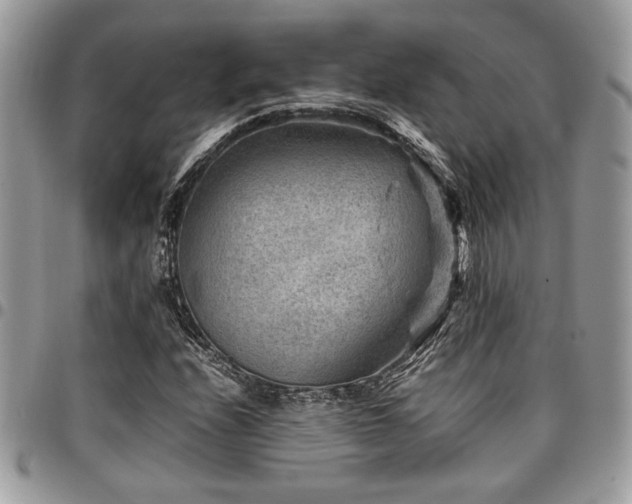 X0000096941208200802081158