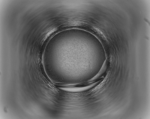X0000096941210200802081158