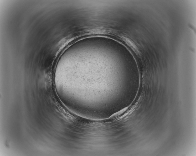 X0000096941212200802081158