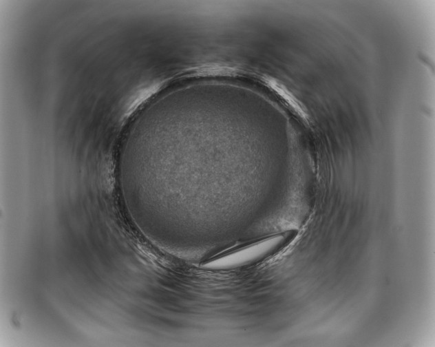 X0000096941213200802081158