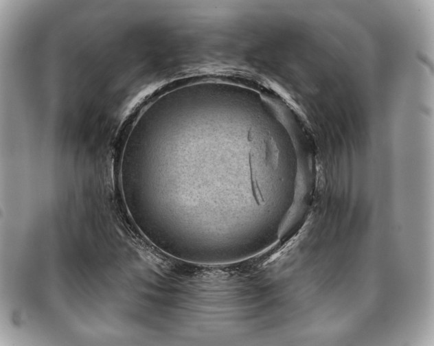 X0000096941214200802081158