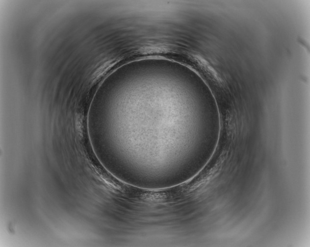 X0000096941217200802081158