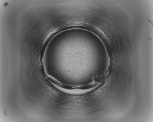 X0000096941218200802081158