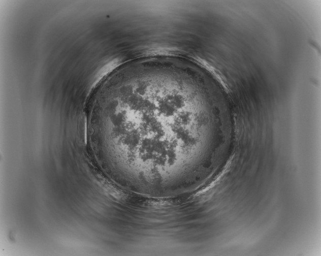 X0000096941219200802081158