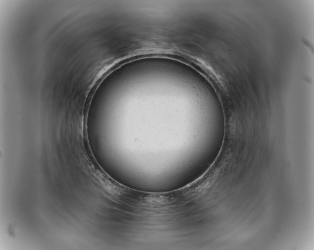 X0000096941220200802081158
