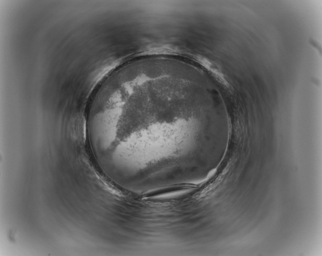 X0000096941221200802081158