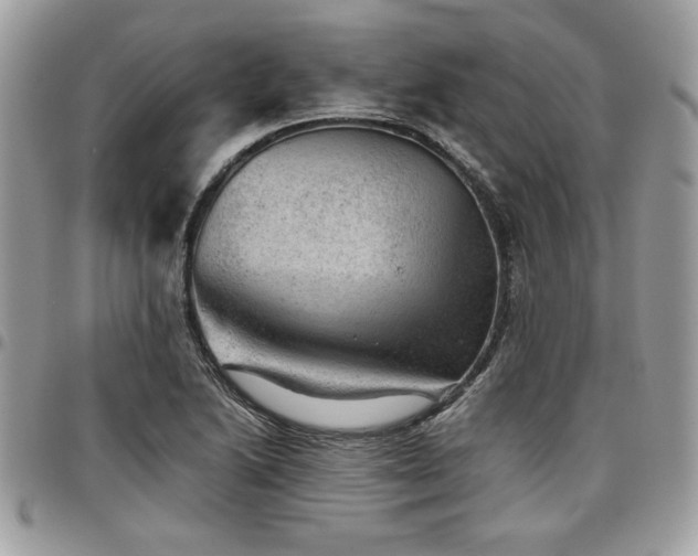 X0000096941222200802081158