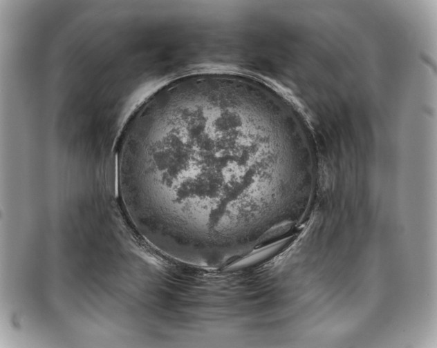 X0000096941223200802081158