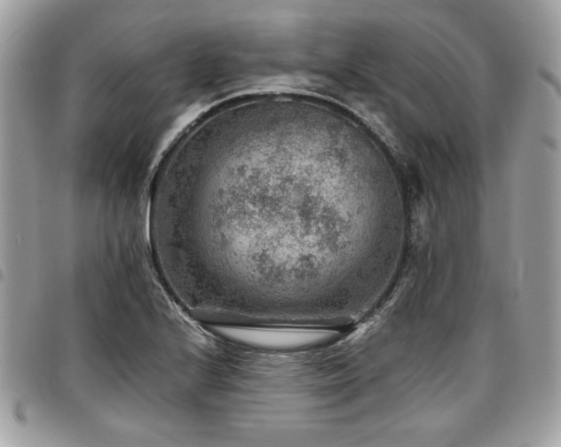 X0000096941224200802081158