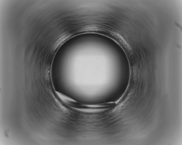 X0000096941225200802081158