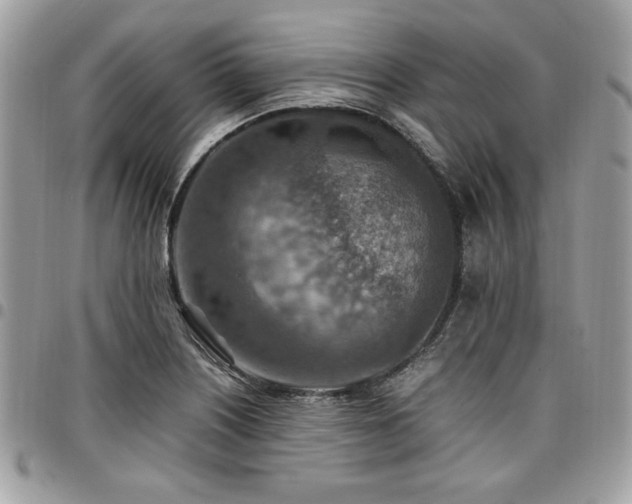 X0000096941226200802081158