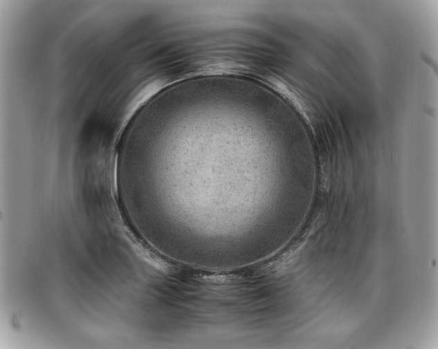 X0000096941227200802081158