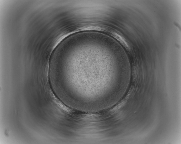 X0000096941228200802081158