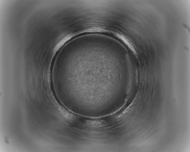 X0000096941229200802081158