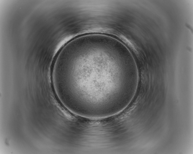 X0000096941230200802081158