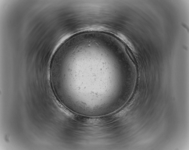 X0000096941232200802081158