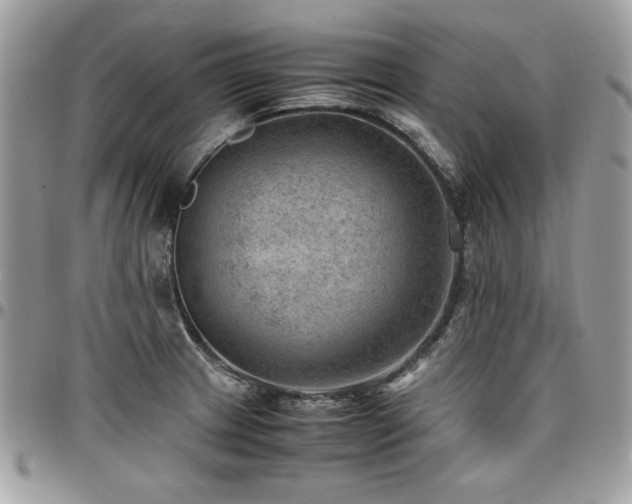 X0000096941233200802081158