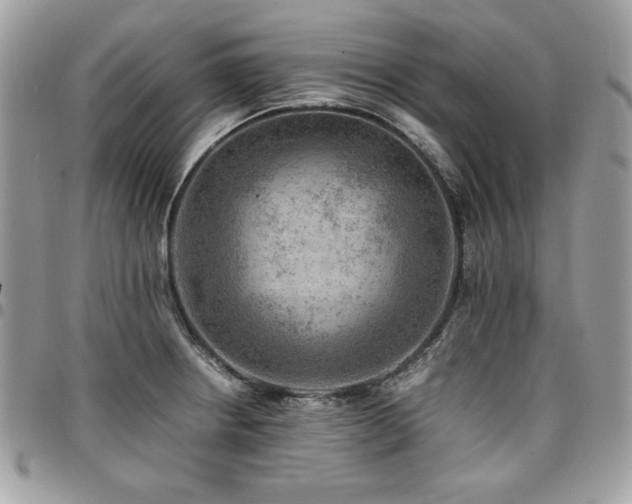 X0000096941234200802081158
