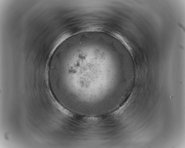 X0000096941235200802081158