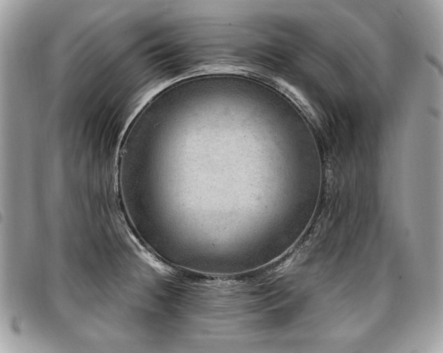 X0000096941236200802081158