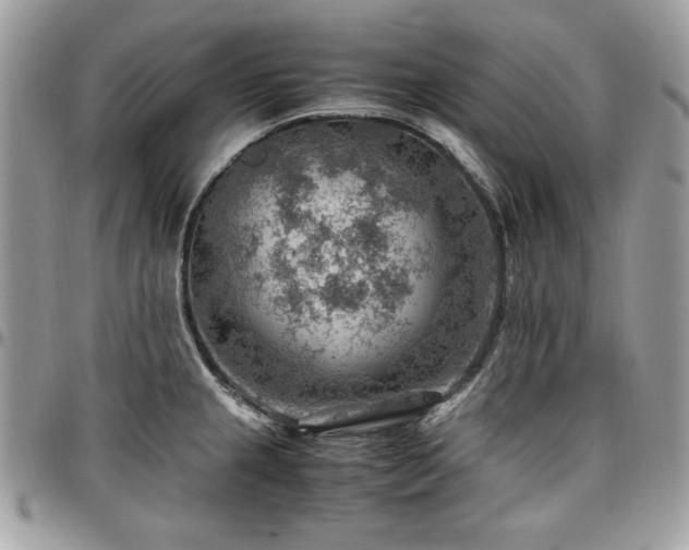 X0000096941237200802081158
