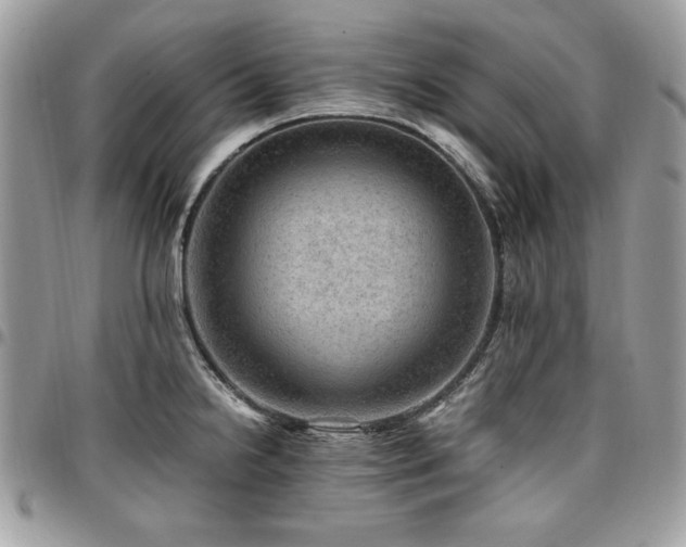 X0000096941238200802081158