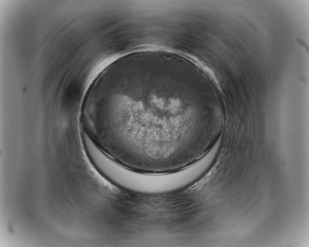 X0000096941239200802081158