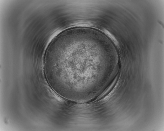 X0000096941240200802081158