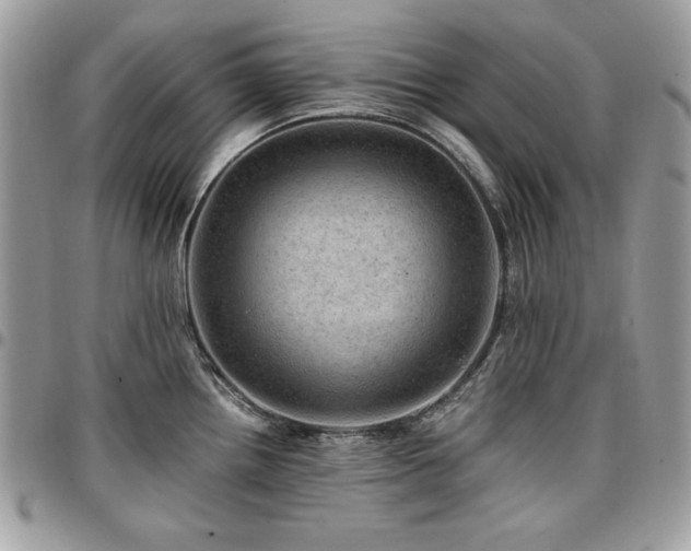 X0000096941242200802081158