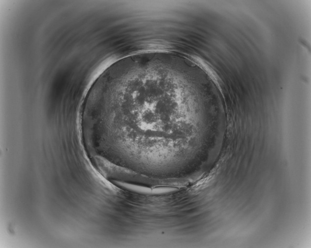 X0000096941243200802081158