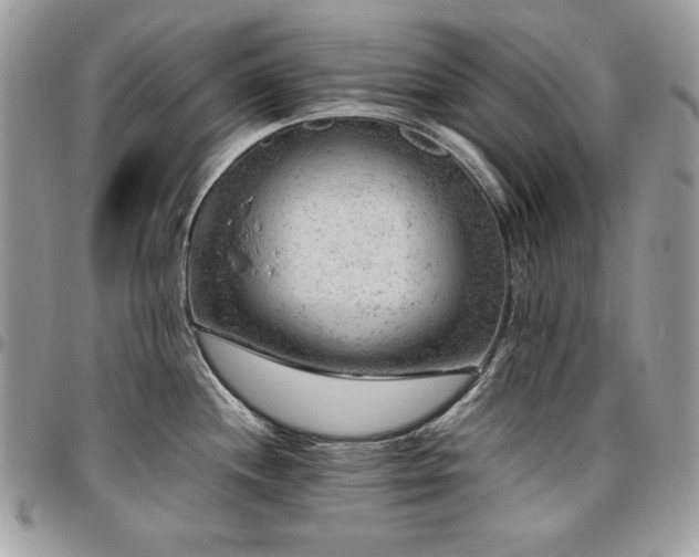 X0000096941244200802081158