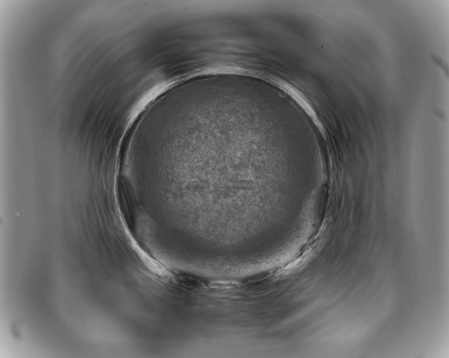 X0000096941245200802081158