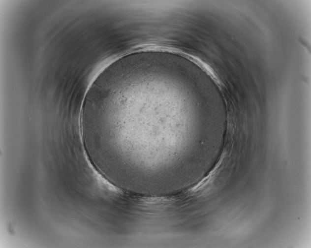 X0000096941247200802081158