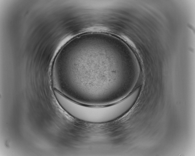 X0000096941248200802081158