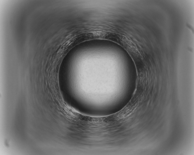 X0000096941249200802081158