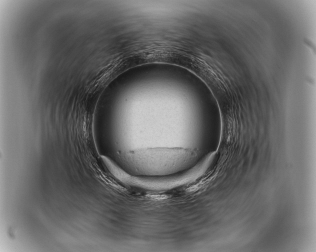 X0000096941250200802081158