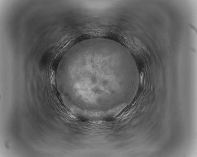 X0000096941251200802081157