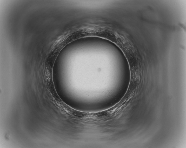 X0000096941253200802081157