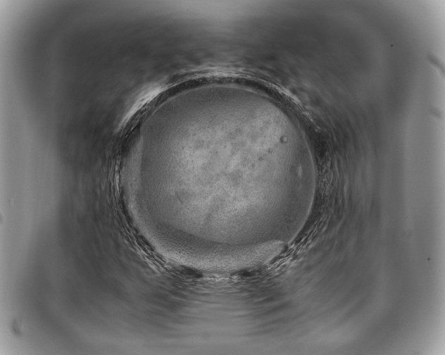 X0000096941255200802081157