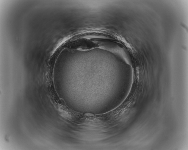 X0000096941256200802081157